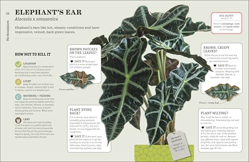How Not to Kill Your Houseplant New Edition: Survival Tips for the Horticulturally Challenged - view 6