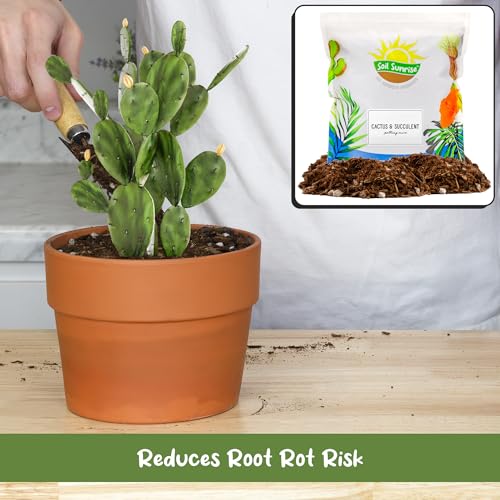 Cactus and Succulent Potting Mix (8 Quarts) Special Blend-Fast Draining and Desert-Style Gritty - view 4