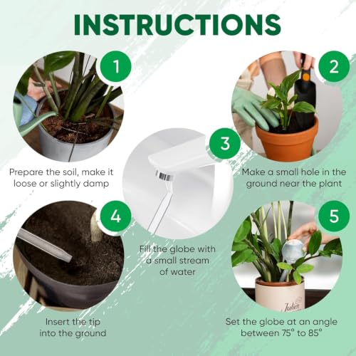Clear Plant Watering Globes Set of 2, Large - Glass Self Watering Globes - view 6