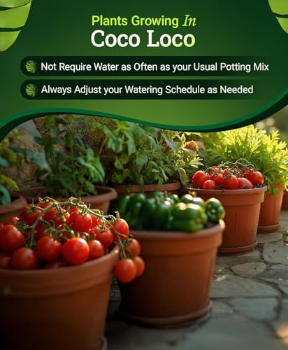BushDoctor Coco Loco Soil Potting Mix, Triple-Washed for Reduced Salt, Retains Water, Includes Bat Guano & Earthworm Castings - Ideal for All Gardens 12 Quart - view 5