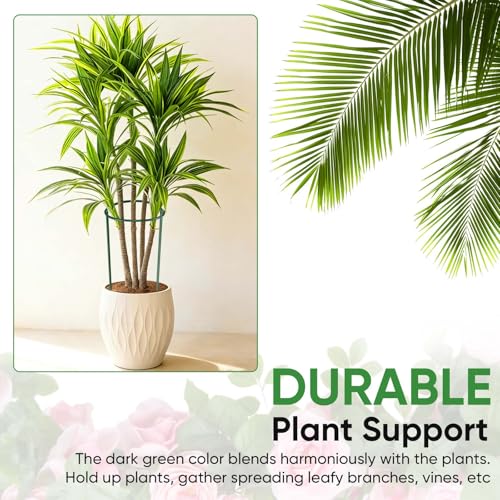 10 Pack 24" H x 10" W Tall Plant Support Stakes, Half Round Metal Peony Cages and Supports, Monstera Plant Support Snake Plant Stake Flower Support Ring for Tomato, Hydrangea Outdoor Indoor - view 5