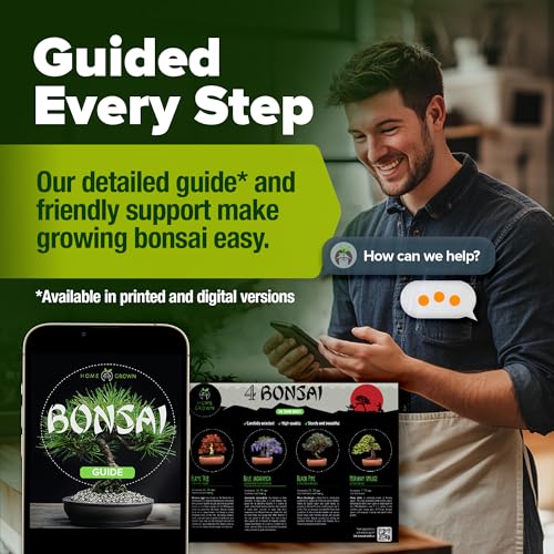Bonsai Tree Starter Kit, Grow 4 Bonsai Trees, Gardening Gift - view 6