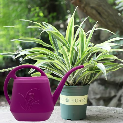 Plant Watering Can - Plastic for Indoor and Outdoor Home Plant - 1/2 Gallon - Rose Red - view 5