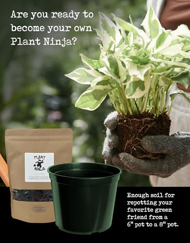 Premium Starter Bundle, Includes a 8” Pot, 16oz Spray Bottle, 1oz Concentrate, Soil Blend, & Funnel, Plant and Leaf Shine Spray for Indoor Plants, House Plants, w/Potting Soil - Large - view 3