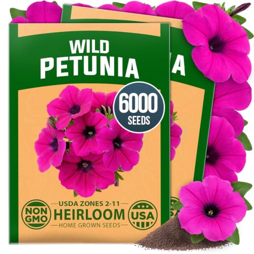 Premium 4 Varieties Bonsai Tree Starter & Rainbow Mix Coleus 400 & Wild Petunia 6,000 & Candytuft Dwarf Fairy 500 Seeds Kit - view 6