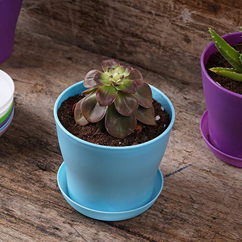 10 Pcs Plastic Planters Indoor Pots with Pallet - view 7