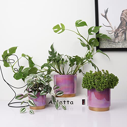 Ceramic Plant Pots for Indoor Plants, Planters with Drainage Holes - view 5