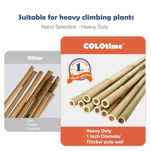 8FT Bamboo Stakes Plant Stakes 1in Thick Dia. Garden Poles 10 Pack - view 3