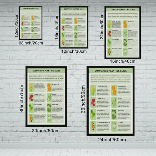 Companion Planting Guide Poster Plantings Types (2) - view 2