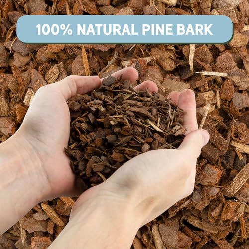 100% Organic Material All Natural Orchid Bark (4 Quarts), USA Sourced and Produced Orchid Bark Potting Mix, Orchid Potting Bark Bulk - view 3