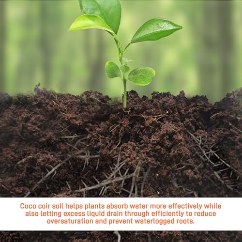 3-Pack Coco Coir Bricks, Premium Organic Peat Moss Mix for Plants, Low EC & pH Balance, Fiber Coconut Husk. Ideal for Gardening, Potting Soil & Substrate - view 4