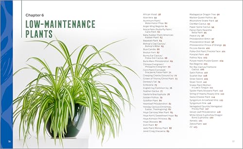 Houseplants for Beginners: A Practical Guide to Choosing, Growing, and Helping Your Plants Thrive - view 3