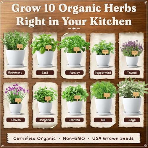 Indoor Herb Garden Starter Kit with 10 USDA Organic Seeds and Pots - view 4