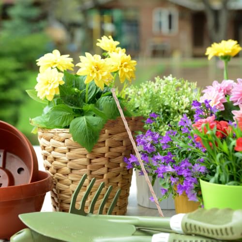 Adjustable Copper Coil Plant Support Stake for Climbing Garden Plants - view 6