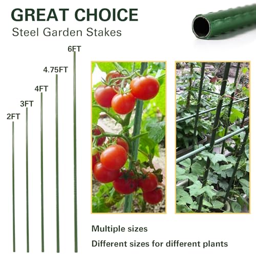 Plant Stakes 36 inch, 3ft Steel Garden Stakes 25 Pack, Sturdy Plant Support for Climbing Plants, Tomatoes, Beans, Cucumbers, Peppers, Flowers, Potted, Strengthen and Stem to Grow Better - view 2