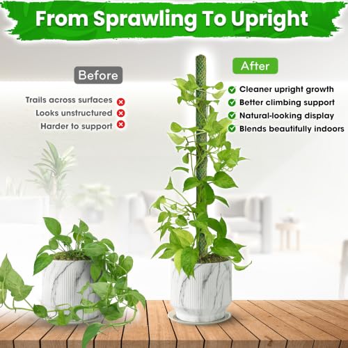 2 Pack 25" Mesh Moss Pole for Climbing Plants, Pre-Made Moss Pole - view 2