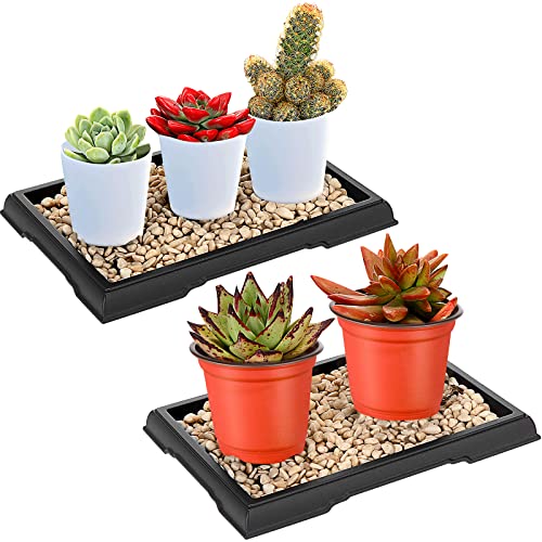 2 Pcs Bonsai Humidity Tray for Indoor Plants,7.8 X 5.5 Inch