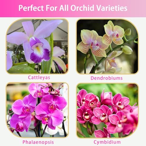 Orchid Potting Mix 1qt，Orchid Soil Composed of Orchid Bark and Perlite，Premium Orchid Medium for Potting, Repotting, Enhanced Drainage, Air Flow & Root Ventilation - view 5