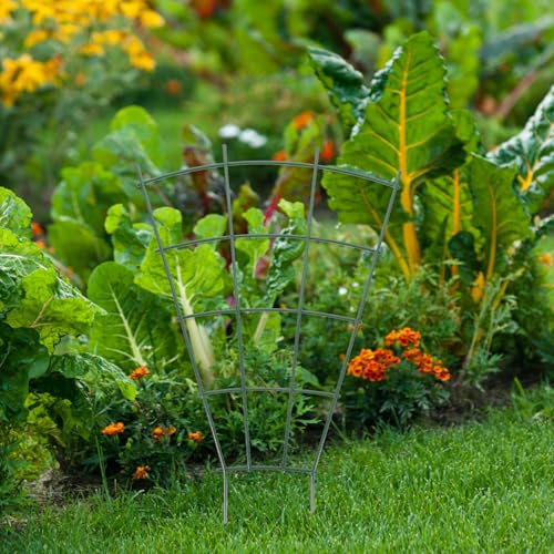 2pcs Plant Trellis Iron Climbing Support Rack for Flowering Vines - view 5