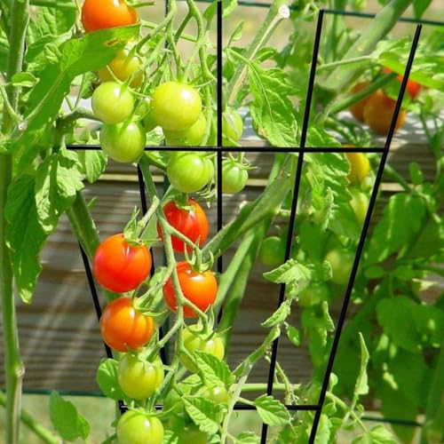 4 Pack 16'' Black Plant Fan Shape Trellis for Potted Climbing Plants Indoor, Outdoor Metal Garden Trellis for Climbing Plants House Plants Flowers Vine Ivy - view 4