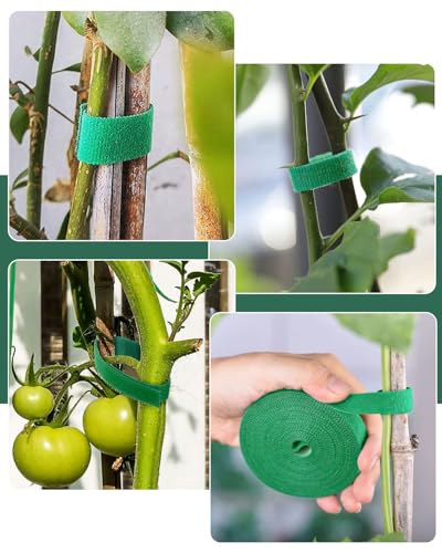 Plant Ties Garden Tape, Reusable Adjustable Plant Clips for Climbing Plants, Green Nylon Self Adhesive Plant Twist Tie Strap to Support Gardening Plants (65.6 FT) - view 6