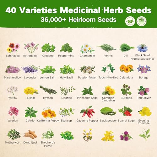 Lush&Dew Ancestral Apothecary Medicinal Tea Herb Seed Chest, Gardening Gift - view 2