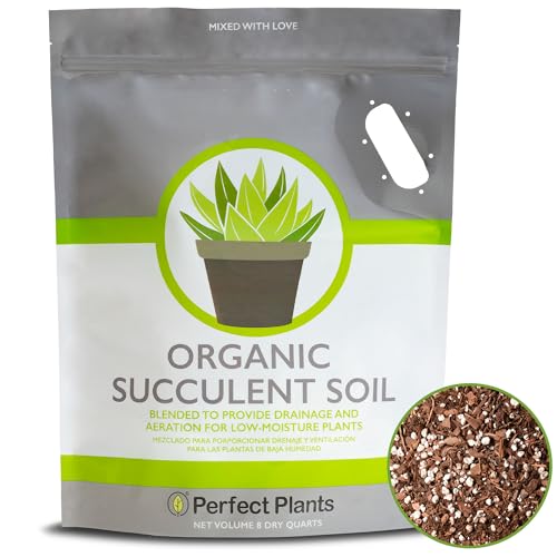 Succulent & Cactus Soil, 8 qt, Organic Potting Mix