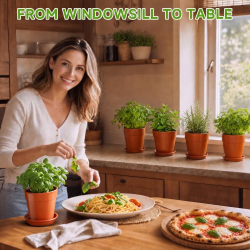 Herb Garden Kit, Indoor Herb Garden Starter Kit with Pots & Herb Seeds, Beautiful Gift Box, Gardening Gift for Women & Mom, Birthday, Christmas & Housewarming - view 2