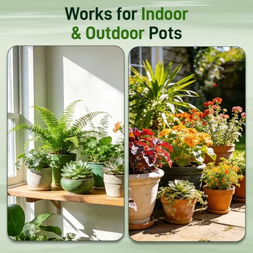 3QT Potting Soil Mix for Indoor Plants - Contains Perlite, Peat Moss, Coco Coir & Rice Charcoal, Natural & Organic Material with Well-Draining, Light & Aerated Texture for Healthy Roots & Fast Growth - view 5