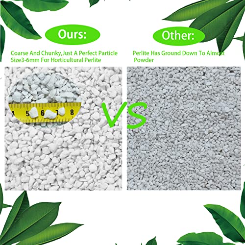 Natural Organic Perlite 5QT for Plants Potting Mix Indoor Outdoor Garden Soil Amendment for Enhanced Drainage, Seed Starter, Root Growth for Succulents, Cactus, Orchids, Money Trees, Vegetables - view 4