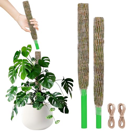 Moss Pole for Plants 2 Pcs 13+16 Inch Modern Mesh Design Green Moss and Plastic Plant Support Extension