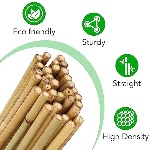 40 Pack 4 Feet Bamboo Stakes for Plant, Bamboo Sticks Plant Support Garden Stakes Poles with 200pcs Twist Ties for Tomatoes, Beans, Flowers, Potted Plants, Indoor and Outdoor Climbing Plants - view 3