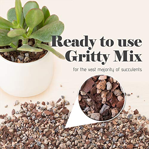 Succulent and Cactus Soil - Jacks Gritty Mix #111 - 2 Quarts – Fast Draining – Fight Root Rot – Optimized pH - view 3