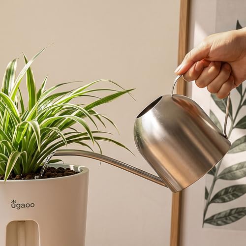 Watering Can for Indoor Plants, 30oz Long Spout Stainless Steel - view 5