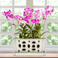 9.5" Orchid Pot Ceramic with Hole Saucer for Repotting, White
