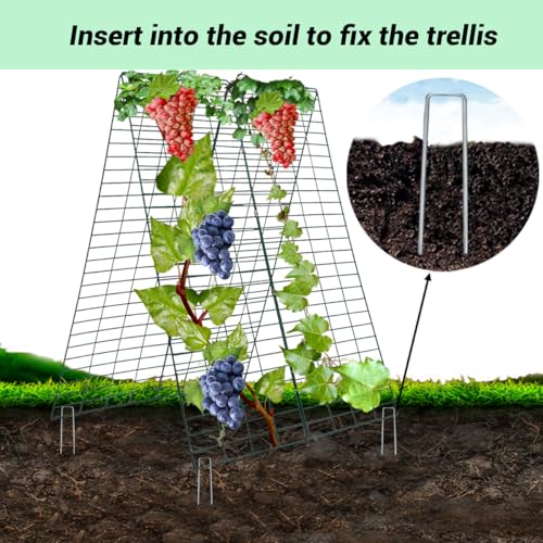 Foldable Cucumber Trellis, Heavy Duty Steel Plant Support Frame (2pack) - view 7
