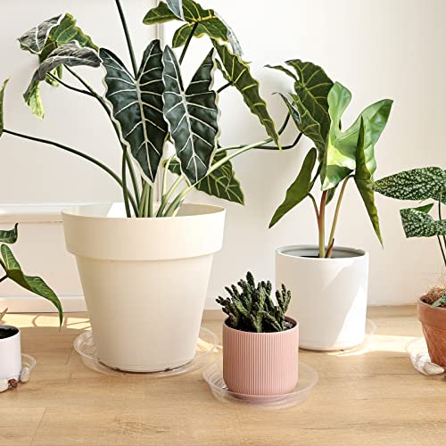 20 Pack Plant Saucers (6 inch / 8inch / 10inch / 12inch) Clear Plant Saucers Flower Pot Tray Excellent for Indoor & Outdoor Plants - view 6