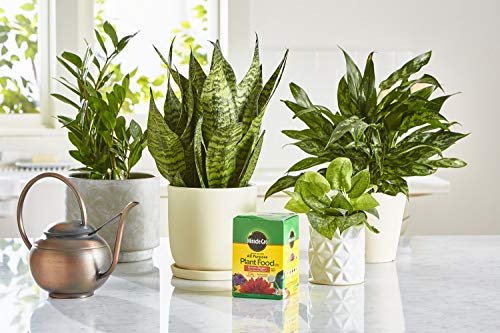 Water Soluble All Purpose Plant Food, 1.5 lbs. (6-Pack) - view 4