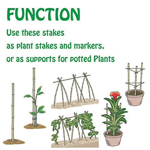 Natural Bamboo Stakes 4 Feet, Eco-Friendly Garden Stakes, Plant Stakes Supports Climbing for Tomatoes, Trees, Beans, 25 Pack - view 4