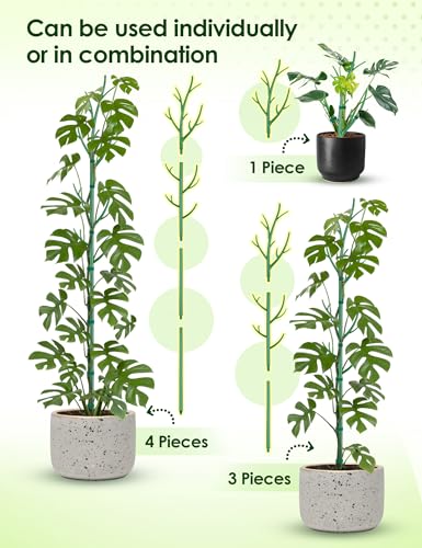 50" Plant Support Stakes 5-Pack for Indoor & Outdoor Climbing Plants - view 2