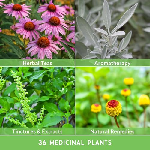Ultimate Medicinal Herb Seeds, 36-Variety Heirloom Non-GMO Pack - view 5