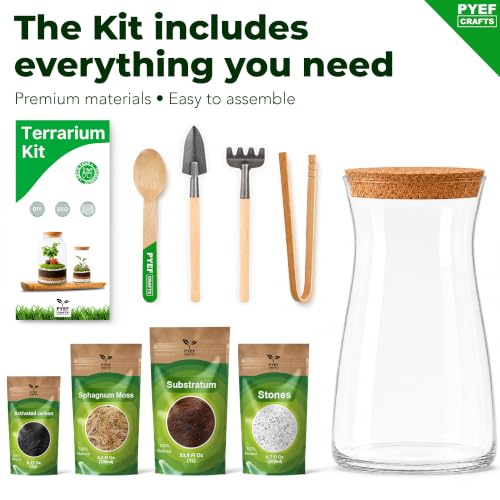 Terrarium Kit for Plants DIY - view 6