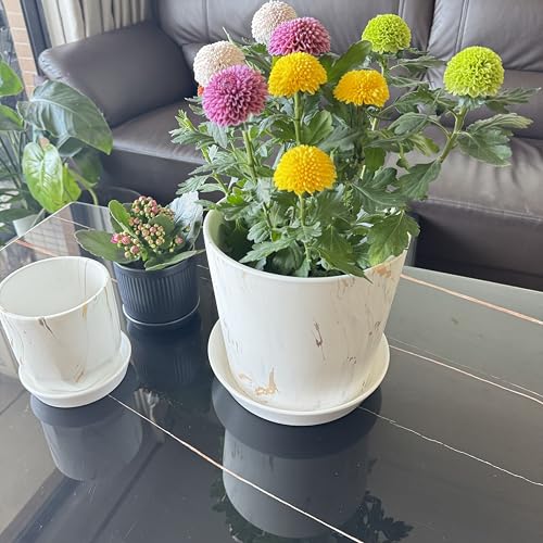 Ceramic Plant Saucer Tray 2 Pcs 3 4 Inch Blue, 4.2" OD x3.5 ID x0.7 Deep| Round Sturdy Heavy Duty Glazed Bevel Planter Drip Flower pots with Catch Basin for Indoor Outdoor Plants(3" Blue) - view 6