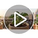 Indoor Herb Garden Kit, Culinary Herb Starter Kit with Seeds & Tools for Beginners, Kitchen Decor, House Warming Gifts for New Home, for Christmas, Ultimate Birthday Gifts for Women Men Mom Dad - view 7