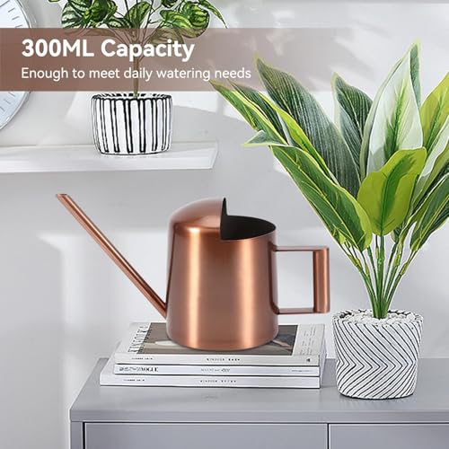 10oz/300ml Watering Can Indoor Plants, Long Spout Small Watering Sprinkling Pot Mini Stainless Steel Water Can Garden Water Pot for Indoor House Plants Bonsai - view 5