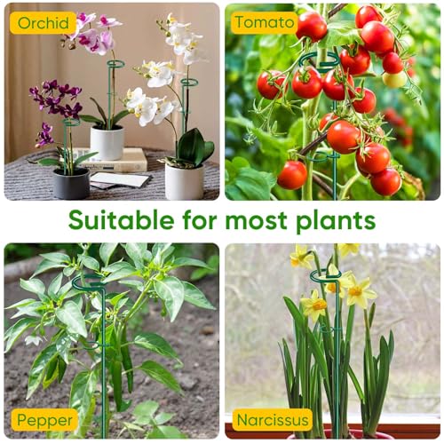 17 inch Plant Support Stakes, 4mm Thick Garden Single Stem Flower Support Stake Amaryllis Plant Cage Support Rings with 10 pcs Plant Clips for Tomato Orchid Lily Peony Rose Flower Stem-5 Pack - view 7