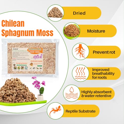 Sphagnum Moss for Plants - 3 OZ Long-Fiber Orchid Moss for Repotting - view 6