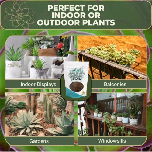 Professional Succulent Soil Mix Large 2.2 Quarts Ready to Use, Premium Potting Soil for Succulents and Cactus, Fast Draining Blend Canadian Peat Coarse Sand Pinebark Indoor Made in USA - view 4