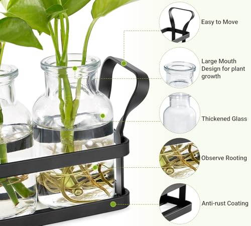 Propagation Stations, 5 Jars Desktop Glass Plant Terrarium with Stand - view 4