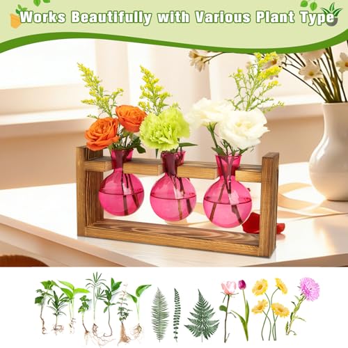 Plant Terrarium Jar Propagation Station Stand 3 Pink Bulb Vases - view 5